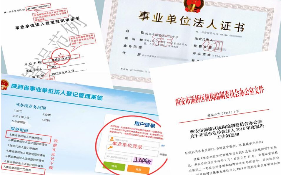 灞桥年度报告.jpg